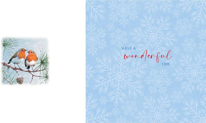 Inside of robin Christmas card with blue snowflake design and Have a wonderful time greeting