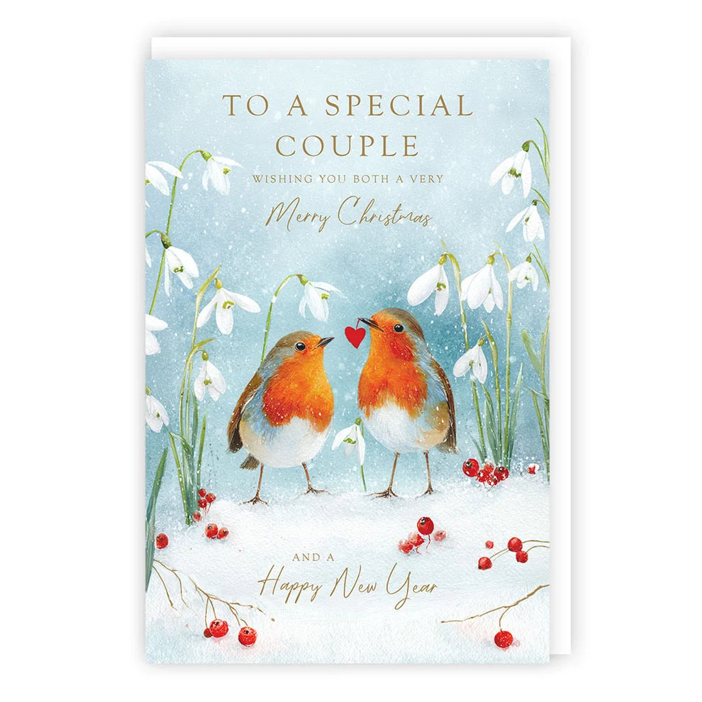 Tracks Publishing XS760 Special Couple Christmas card with two robins, snowdrops and gold text
