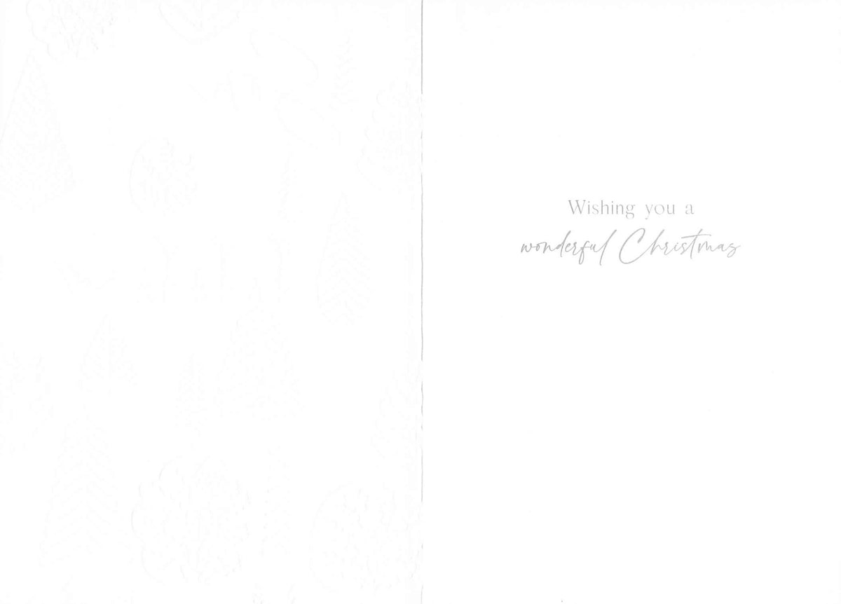 Inside of Abacus Daughter Christmas card with message Wishing you a wonderful Christmas