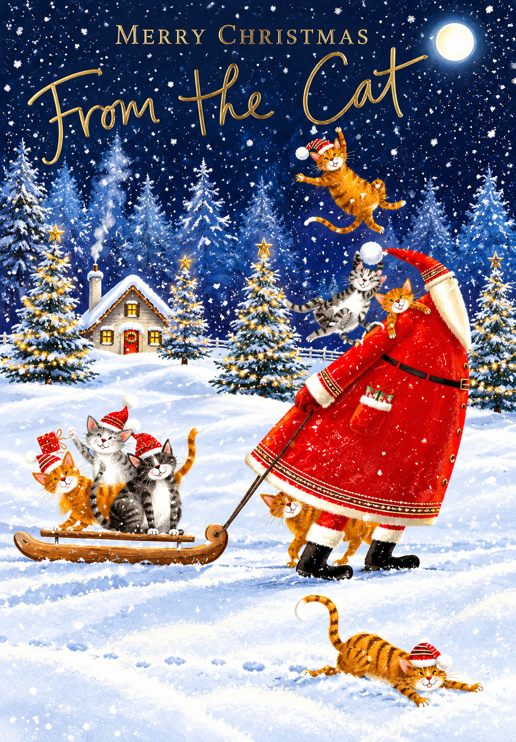 Abacus Merry Christmas From the Cat card with snowy Santa and cats design, 151 x 228mm