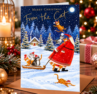 Abacus From the Cat Christmas card displayed in a warm festive Christmas setting