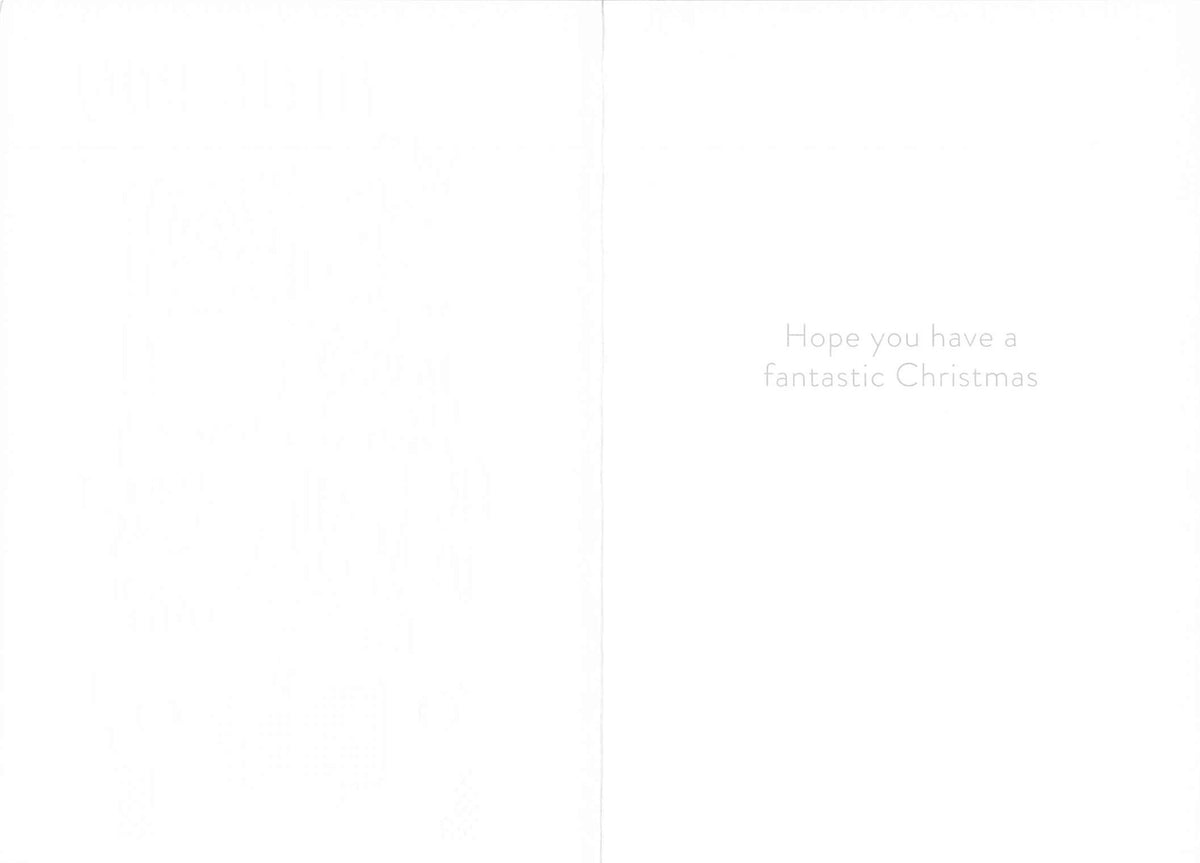 Inside of Abacus Son Christmas card with message Hope you have a fantastic Christmas
