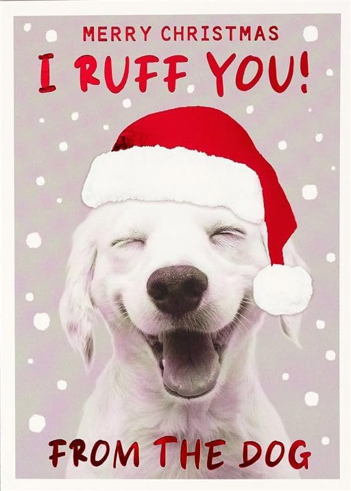Front of Paperlink Merry Christmas I Ruff You From the Dog card featuring smiling puppy in Santa hat