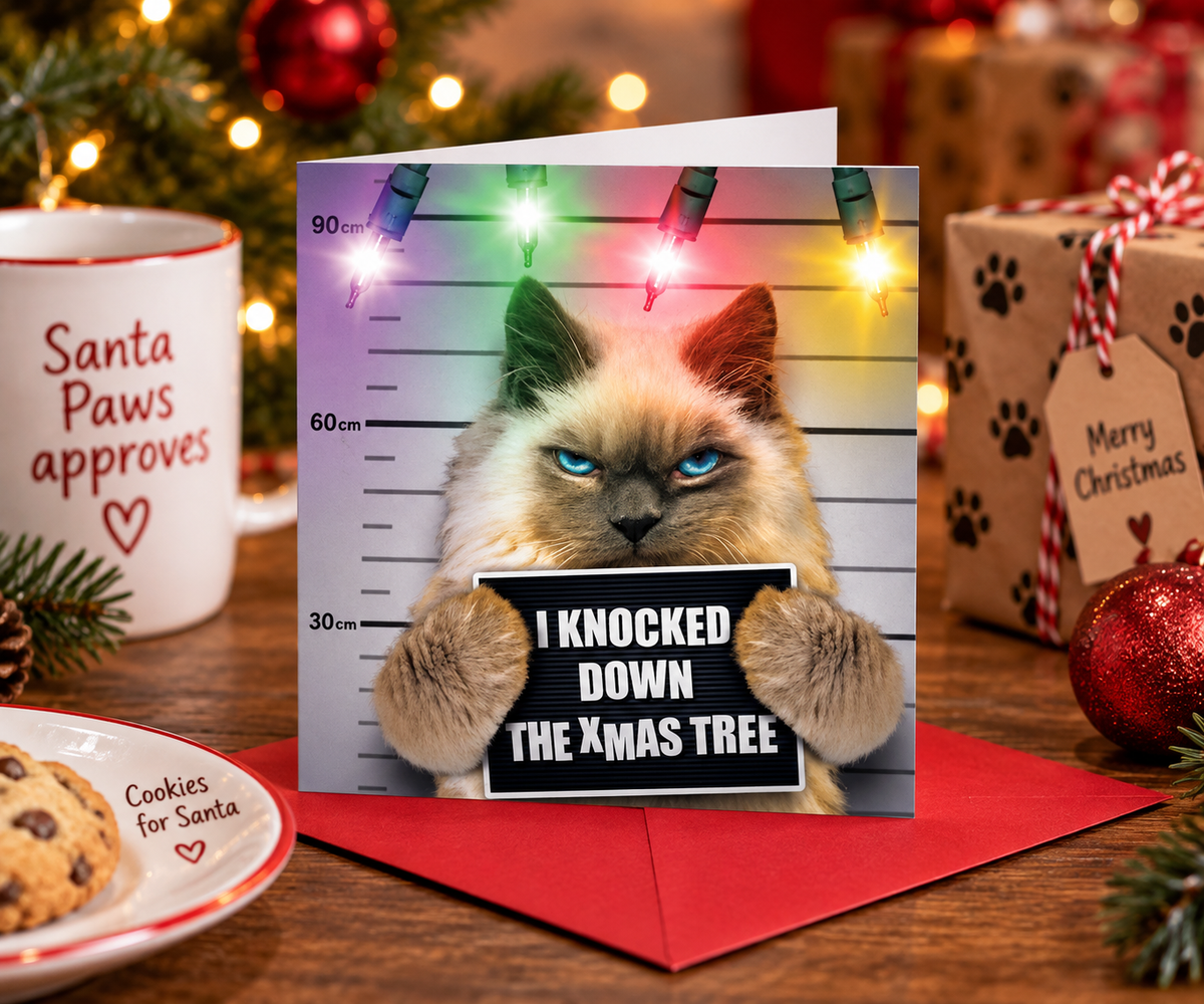 Emotional Rescue funny cat I Knocked Down the Xmas Tree Christmas card festive lifestyle