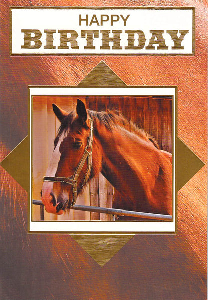 Birthday - Everyone - Greeting Card - Multi Buy Discount