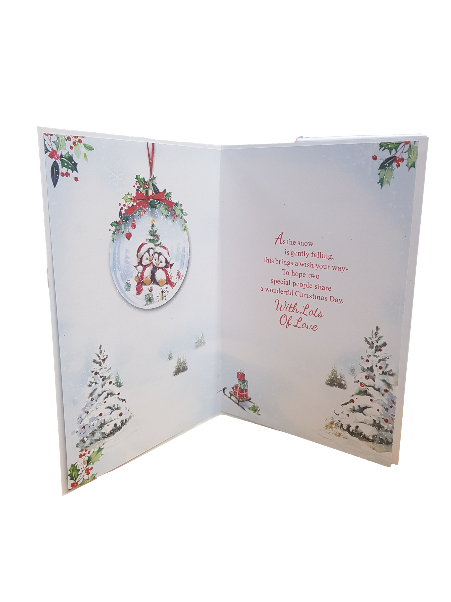 Christmas - Daughter & Son In Law - Snowglobe -  Greeting Card