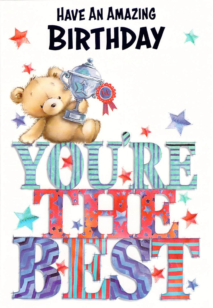 Birthday - General / Open - Your The Best - Greeting Card - Free Postage