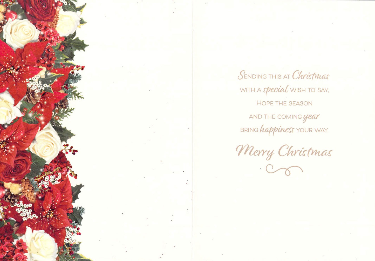 Christmas - Everyone - Merry Christmas -  Greeting Card