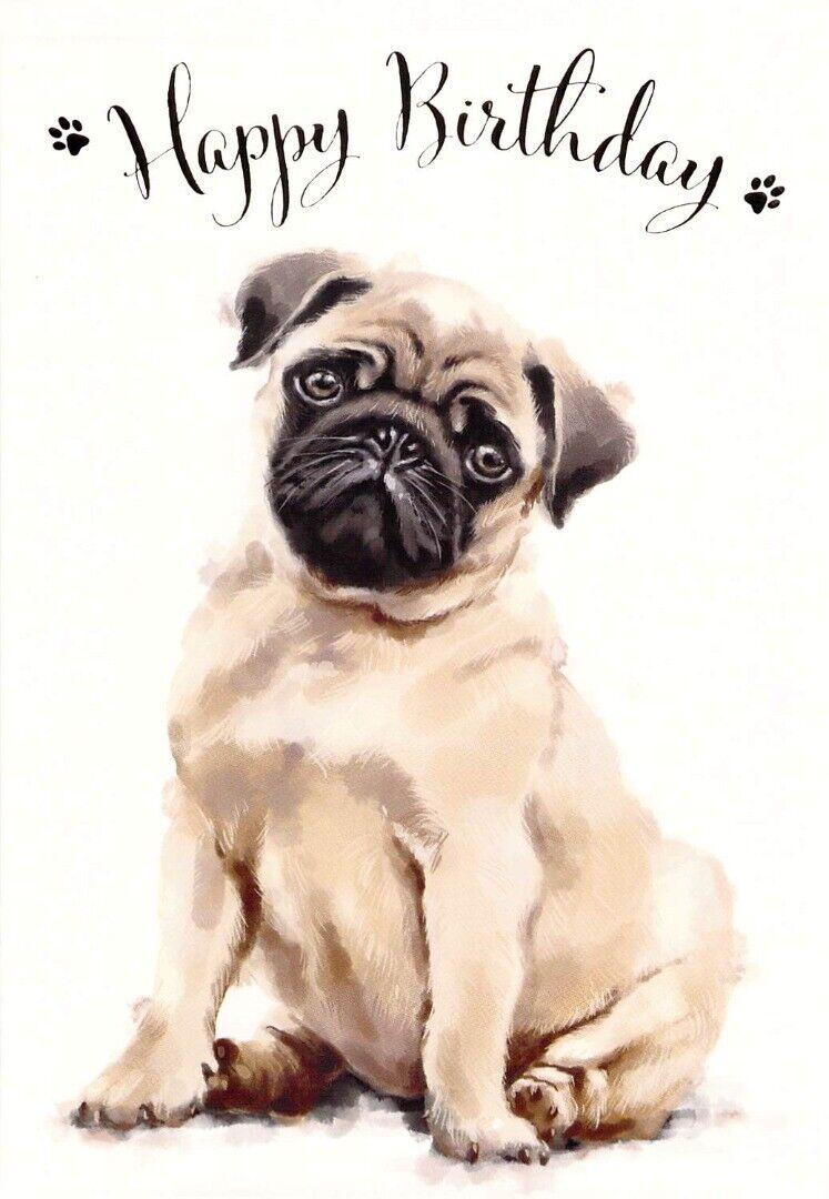 General Birthday - Pug - Greeting Card