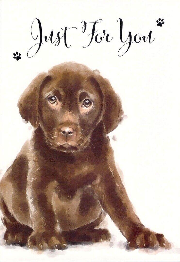 General Birthday - Labrador - Greeting Card