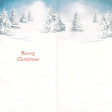 Load image into Gallery viewer, Christmas - Gift Wallet - Snowy design - Greeting Card
