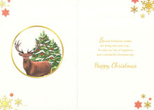 Load image into Gallery viewer, Christmas - Nephew - Reindeer - Greeting Card
