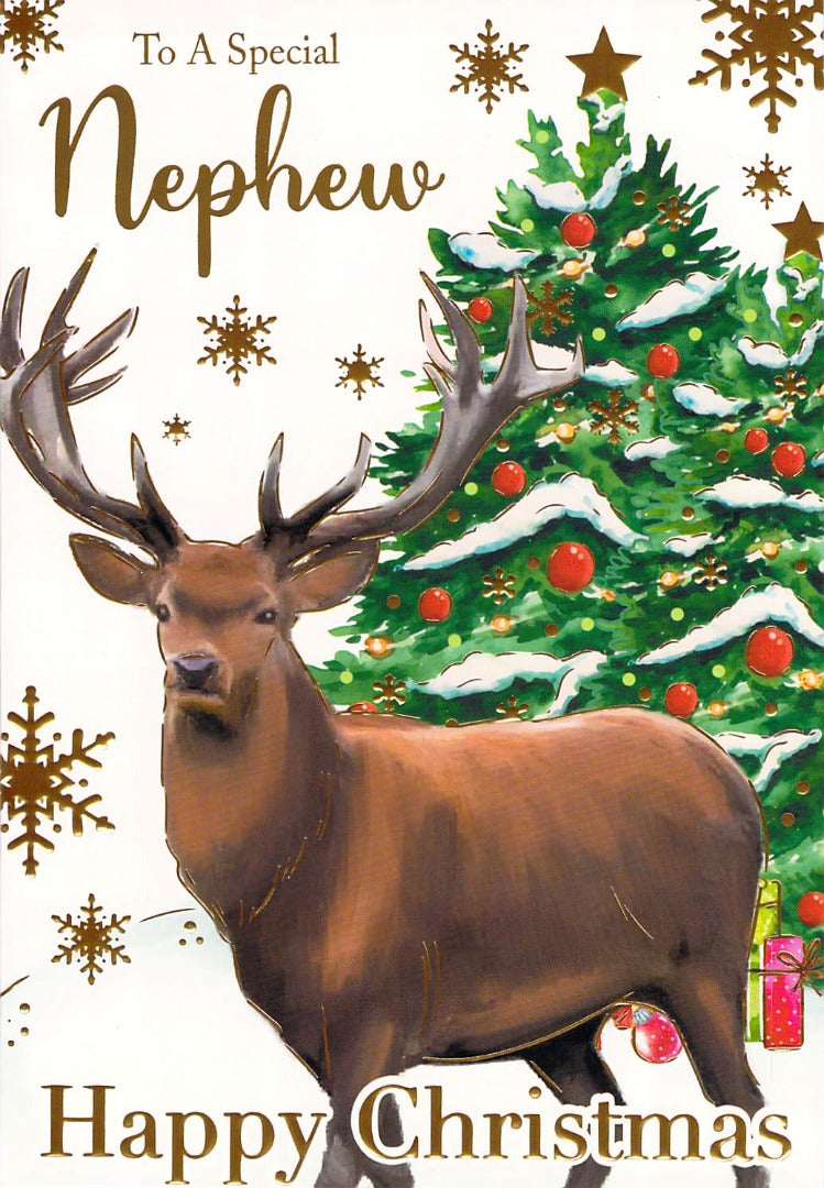 Christmas - Nephew - Reindeer - Greeting Card