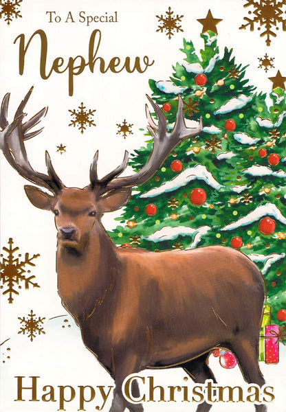 Christmas - Nephew - Reindeer - Greeting Card