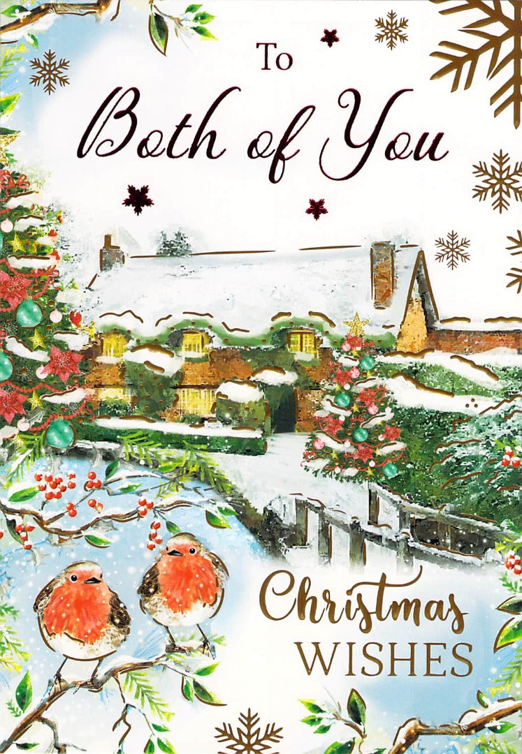 To Both Of You - Christmas - Snow  Robins - Greeting Card