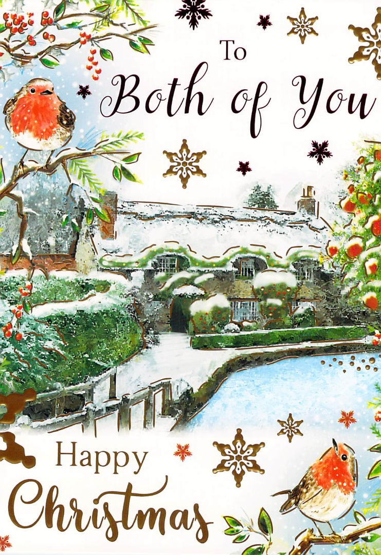 To Both Of You - Christmas - Snowy Robin - Greeting Card