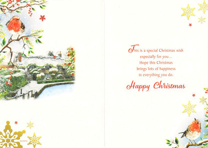 To Both Of You - Christmas - Snowy Robin - Greeting Card