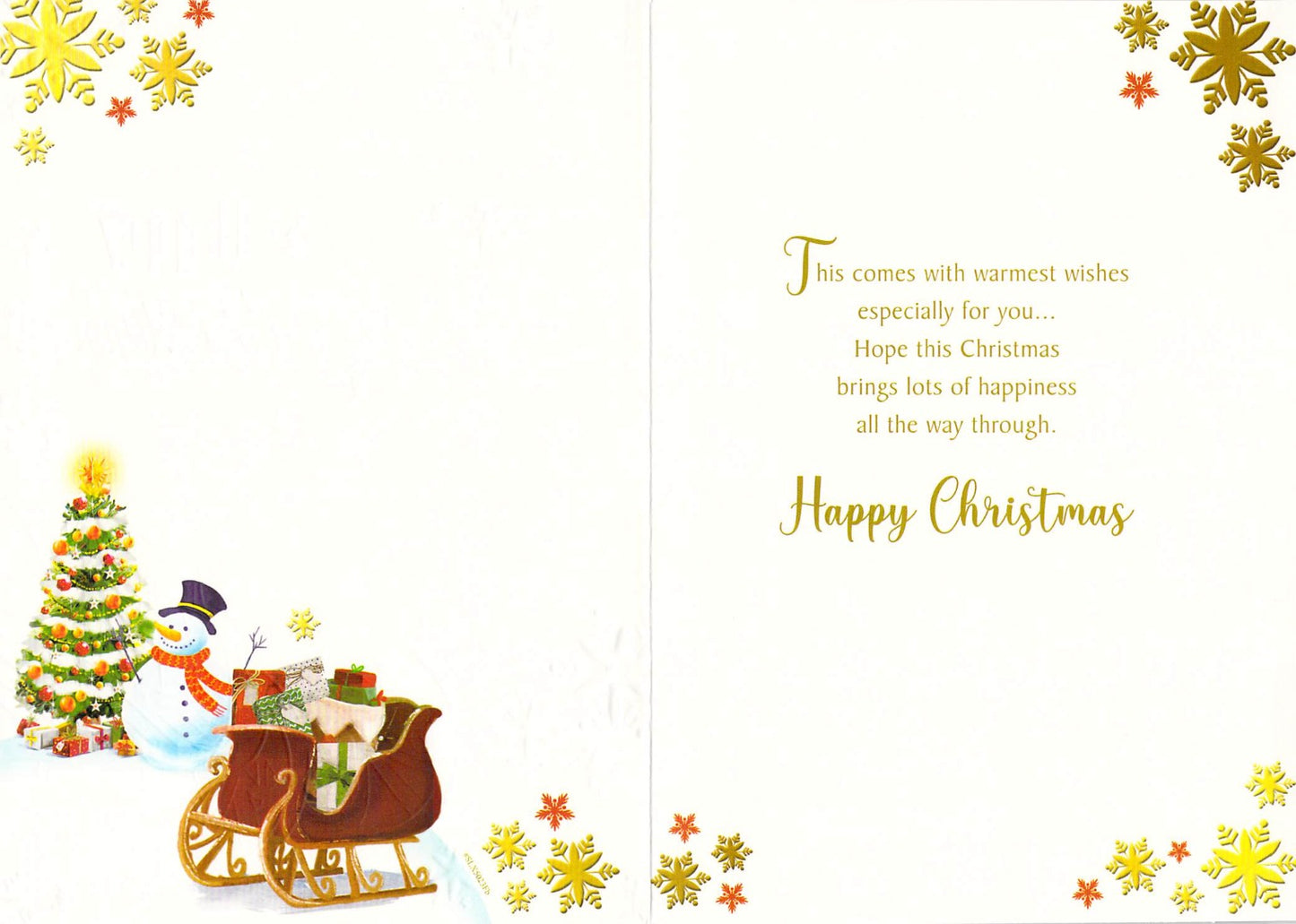 All The Family - Christmas - Sleigh - Greeting Card