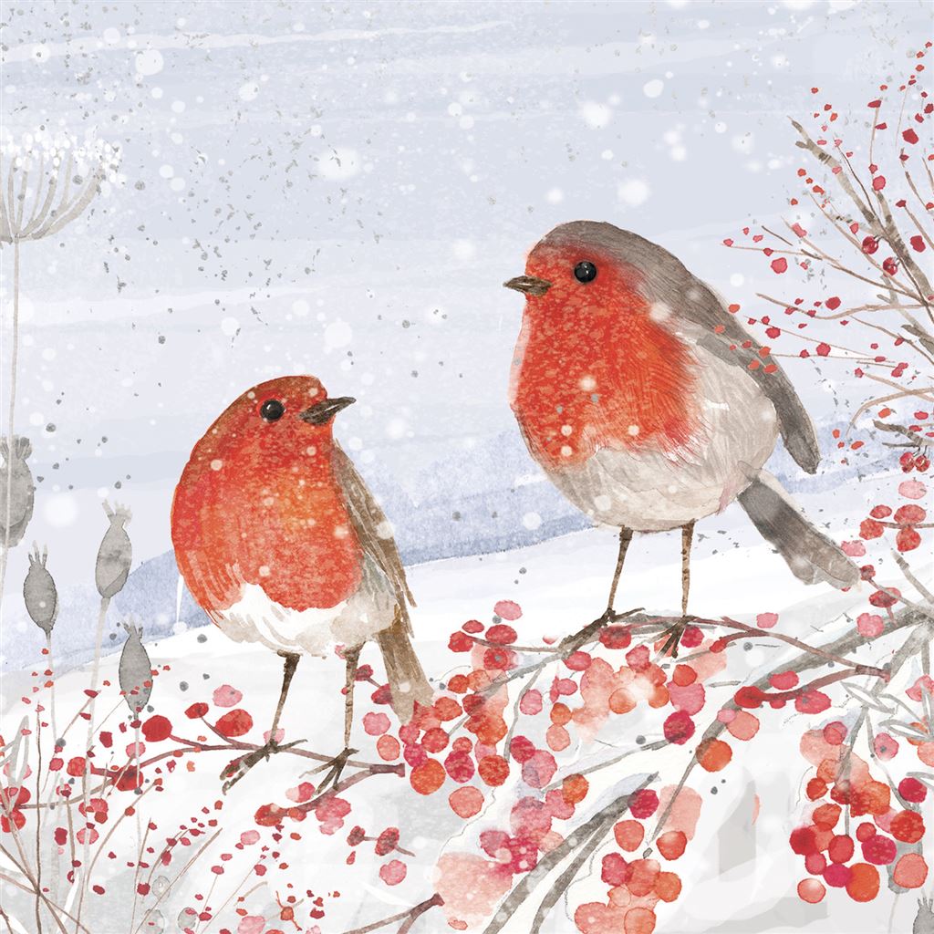Paperlink Charity Christmas Cards -Robins - Eco-Friendly and Recyclable - Pack of 6 Cards
