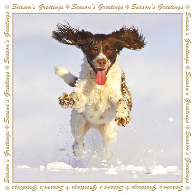 Christmas - Greeting Card - Snow Dog