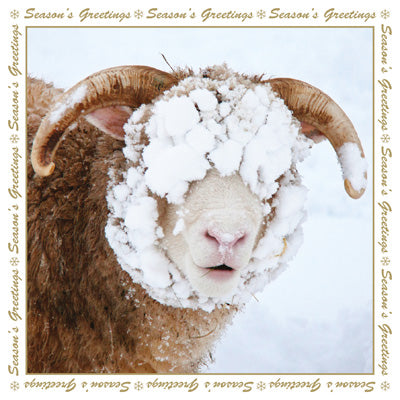 Christmas - Greeting Card - Snow sheep