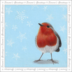 Christmas - Greeting Card - Snow Robin