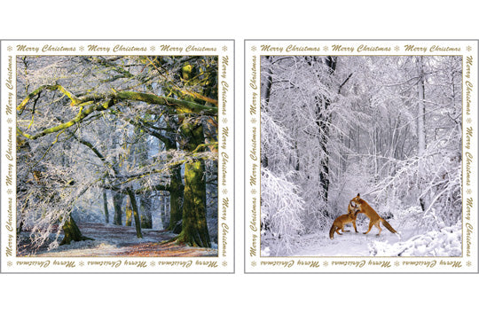 Christmas Greeting Cards - Fox - Multi Pack of Six