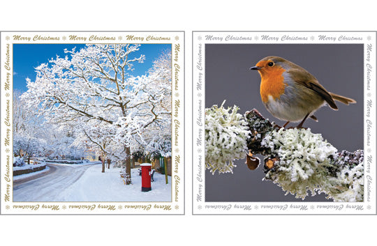 Christmas Greeting Cards - Robin - Multi Pack Of Six