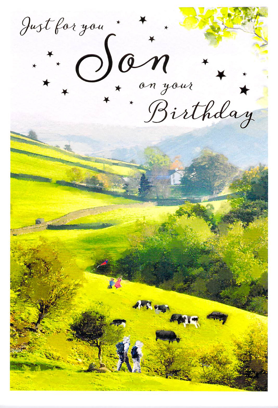 Birthday - Son - Countryside - Greeting Card - Multibuy Discount